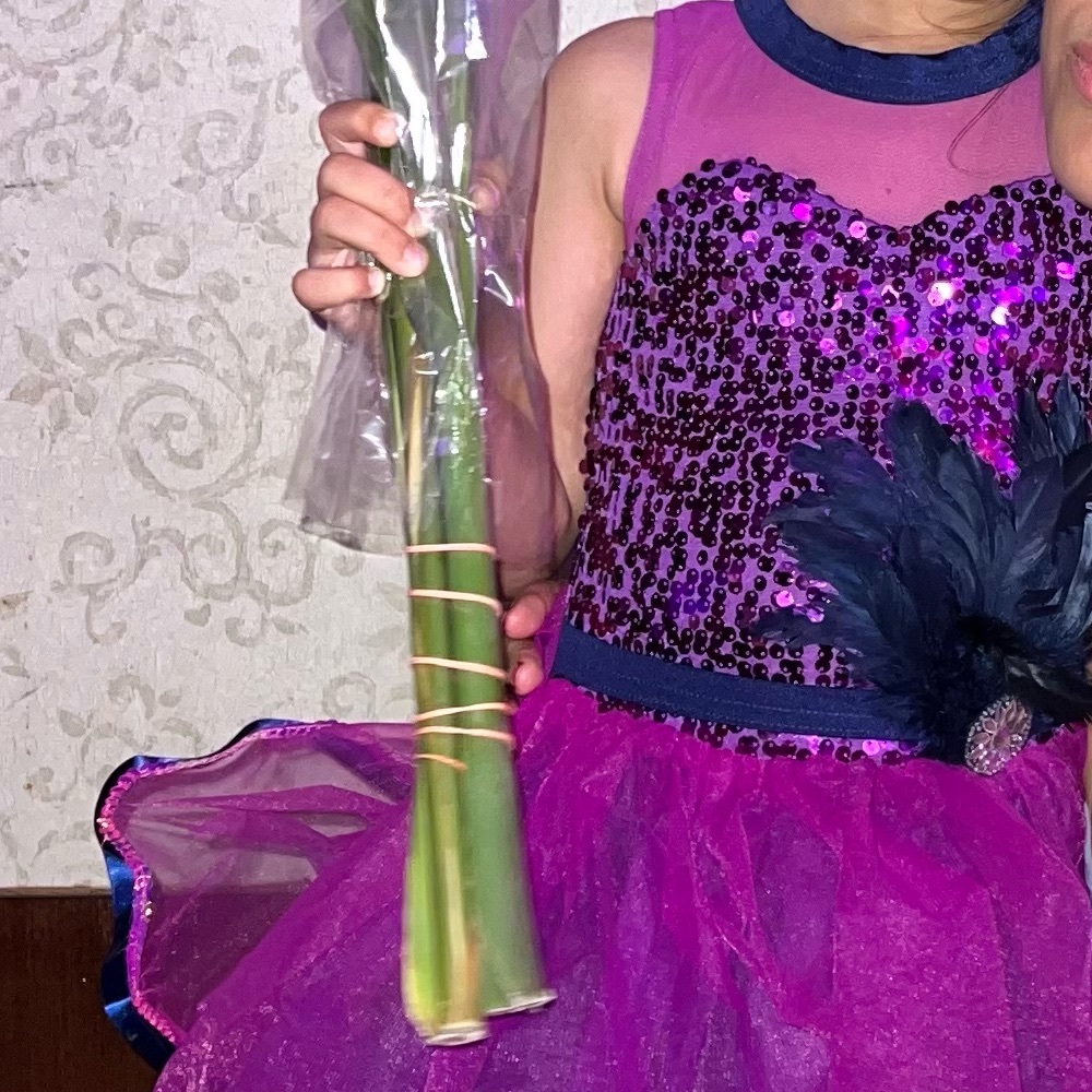 Ballroom dance costume
